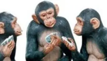 What Can Monkeys Teach Us About Gambling?
